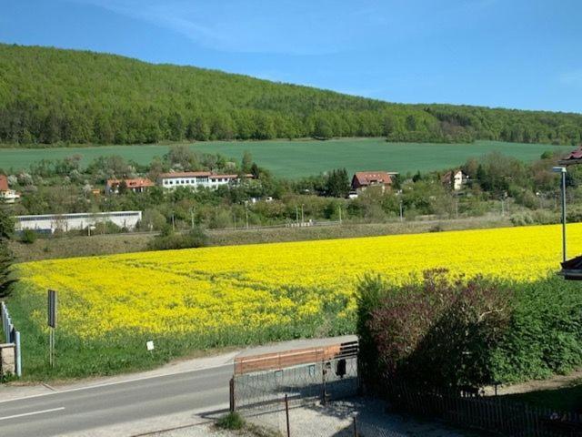 Ferienwohnung Werratal Obermassfeld-Grimmenthal エクステリア 写真